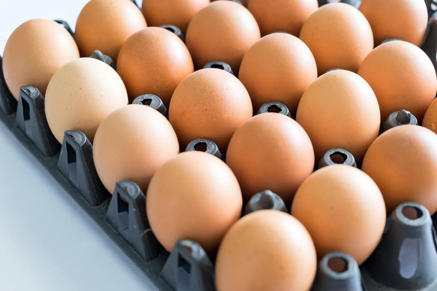 Fresh brown eggs neatly packed in an open carton