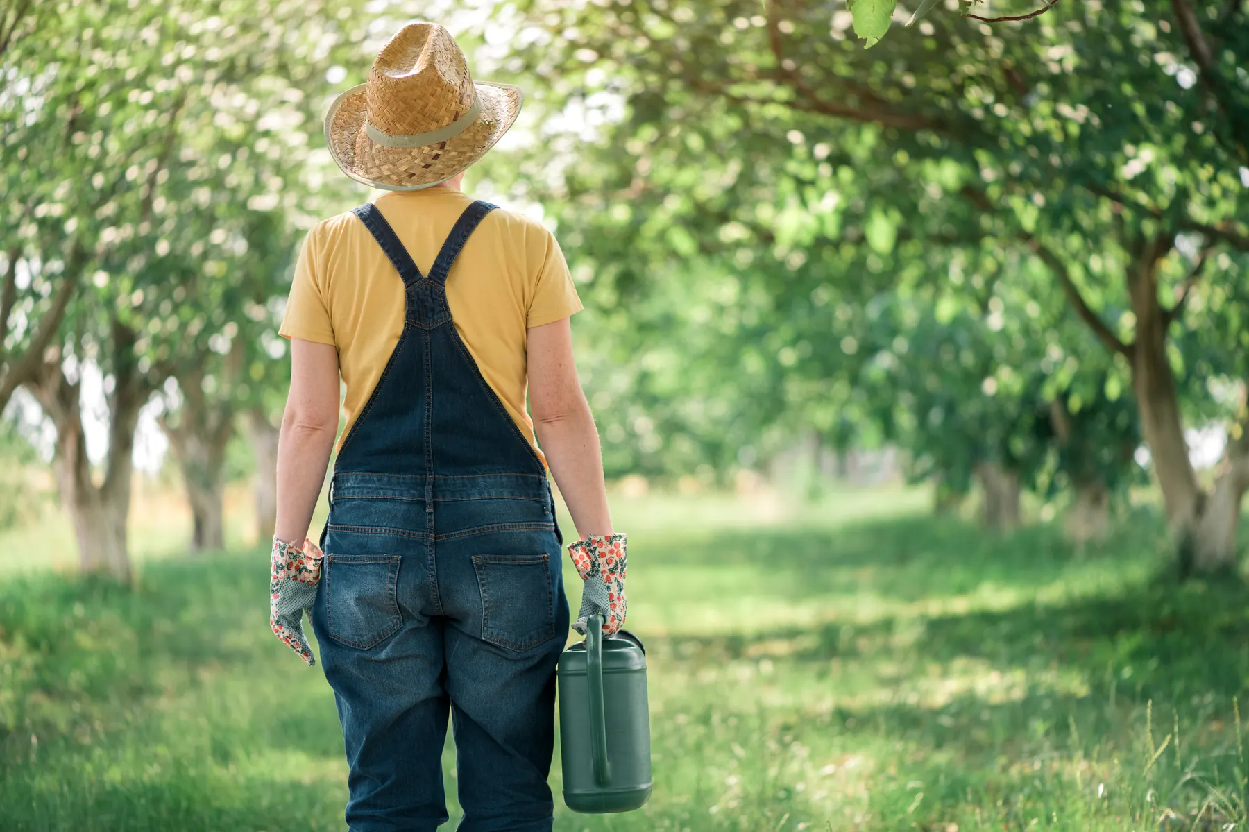 A FarmHer grower tending the orchard with a watering can at sunrise